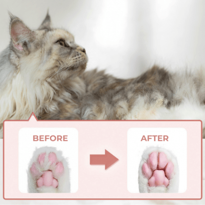 Mini zastrihávač pre domáce zvieratá – PawPerfect